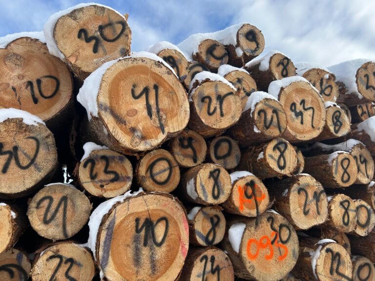 Softwood prices are rising globally, but frame boards are being replaced in warehouses by firewood and fence posts (TTJ)